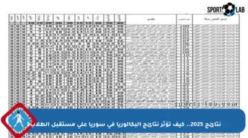 نتائج 2025.. كيف تؤثر نتائج البكالوريا في سوريا على مستقبل الطلاب؟